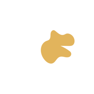 0f051873-placeholder-1770018143