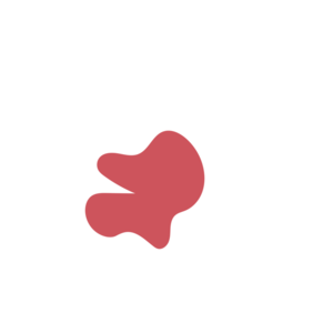 A2ac5078-placeholder-1770009230