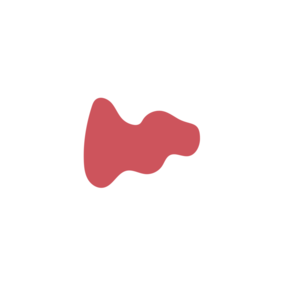 1ac0434d-placeholder-1770012590