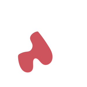 297f17ed-placeholder-1770018708