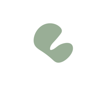 3ac24e6f-placeholder-1770014982