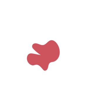 9156e71e-placeholder-1770008275