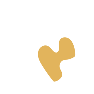 1fc15f94-placeholder-1770012013