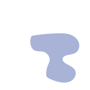 77fded19-placeholder-1770027280