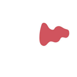 6289decc-placeholder-1769749445