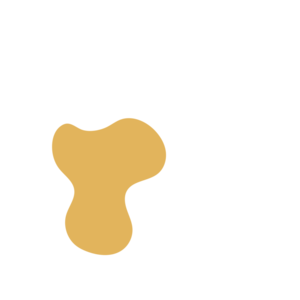 Cbd765d2-placeholder-1770006294