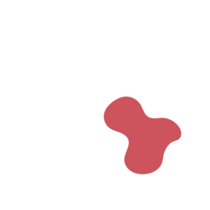 7d830747-placeholder-1770053971