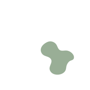 92b1ee17-placeholder-1770010769