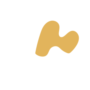 448bb175-placeholder-1770032752