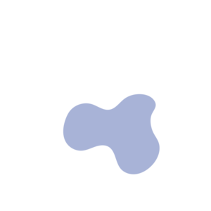 C919fa18-placeholder-1770025100