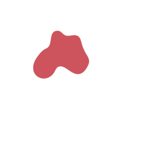 Ee058ea9-placeholder-1770006841