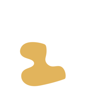 E4d9b111-placeholder-1770018257