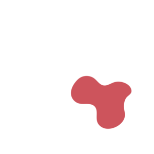 E97ee5fd-placeholder-1770006008