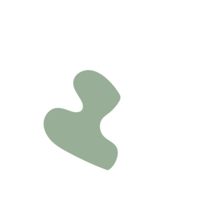 56f8d3a3-placeholder-1770013287