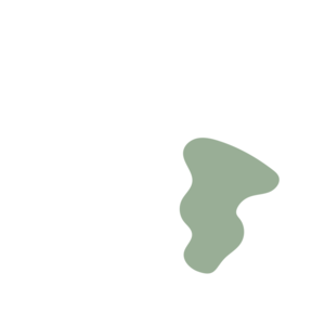 E4c8c477-placeholder-1770023053