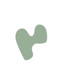 4af19617-placeholder-1770008054