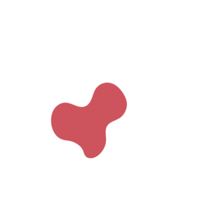 B2f64c8a-placeholder-1770012135