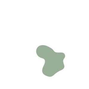 0f297ff0-placeholder-1770046503