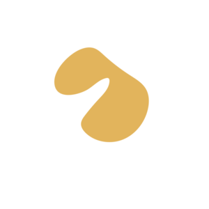 F6abfb3a-placeholder-1770054892