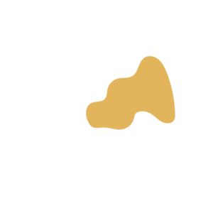 C81bdaf1-placeholder-1770019361