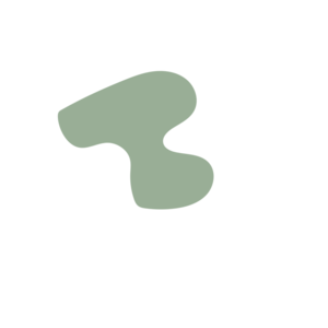 F1d1ec65-placeholder-1768983020