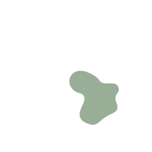 D778ab05-placeholder-1770009348