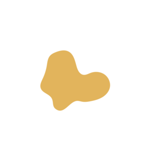 9826ee8e-placeholder-1770007750