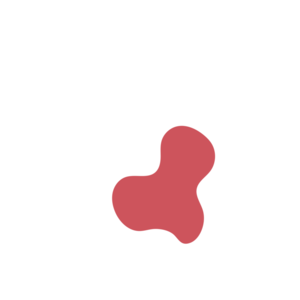 97707ab5-placeholder-1770109879