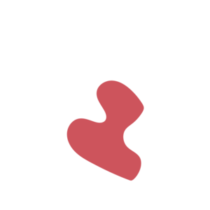 Cde35cee-placeholder-1770027026