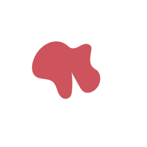 4a68ffd5-placeholder-1770022153