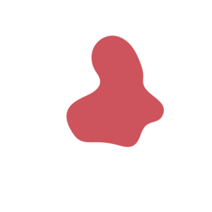 D5e9d9e2-placeholder-1770047210