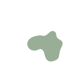 C4c0466a-placeholder-1770013901