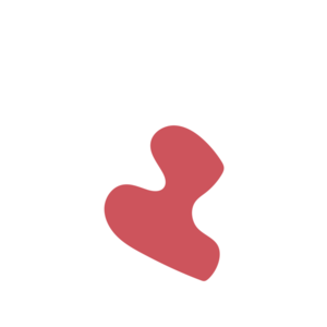 E900e233-placeholder-1769209605