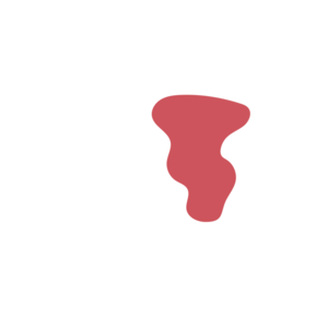 3d834d08-placeholder-1770004896