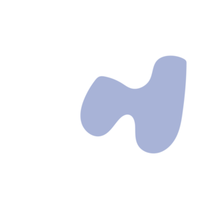 A6493584-placeholder-1770016512