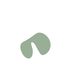 33c14ab3-placeholder-1770005596