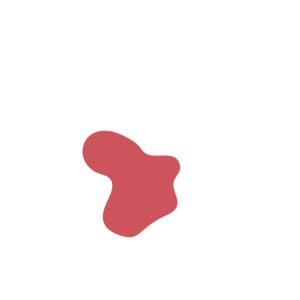 129d8ae5-placeholder-1770011239