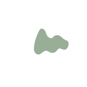 7598fe3a-placeholder-1770011078