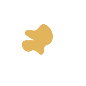 2e969d52-placeholder-1769640584