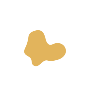 0c78cd98-placeholder-1770008222