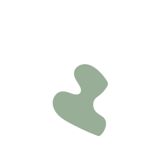 Cc2819f1-placeholder-1770009437