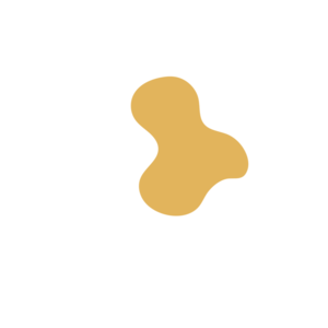 92bbd31f-placeholder-1770007018