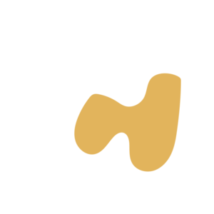 3dbf015b-placeholder-1770015993