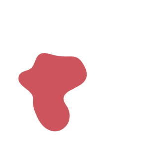 51261562-placeholder-1770047167