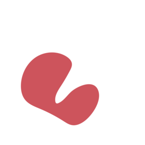 C3b2faa0-placeholder-1770053084