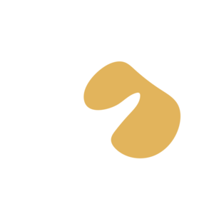 7dc25f41-placeholder-1770011396