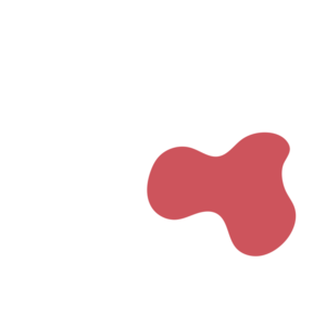 00cd205d-placeholder-1770027491