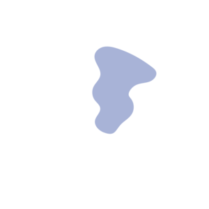 F9e0c0d3-placeholder-1770016522