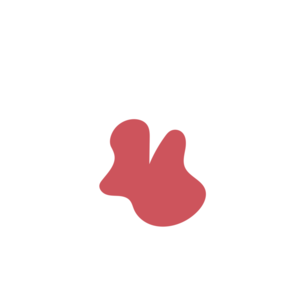 B49258c5-placeholder-1770020269