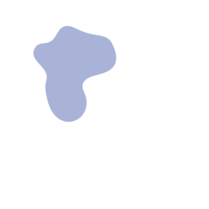 F6919e5d-placeholder-1770006989